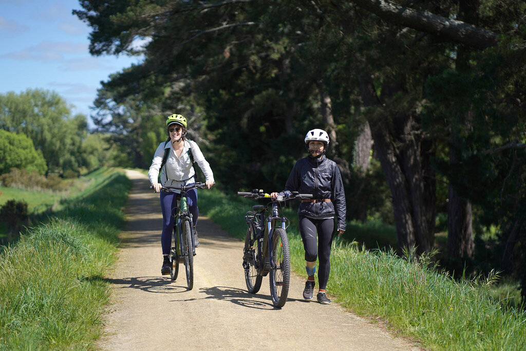 cycling down a dirt path on a mountain bike 