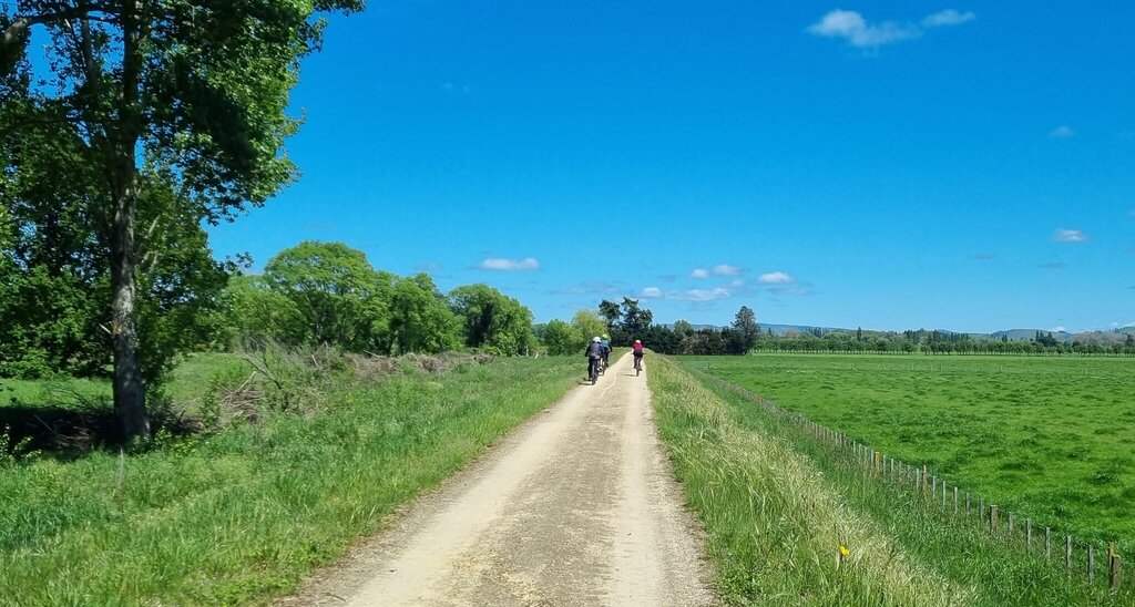 cyclists cycling down a bush path 